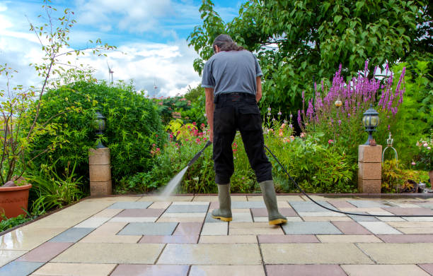 Professional Pressure Washing Services in Shenandoah Farms, VA