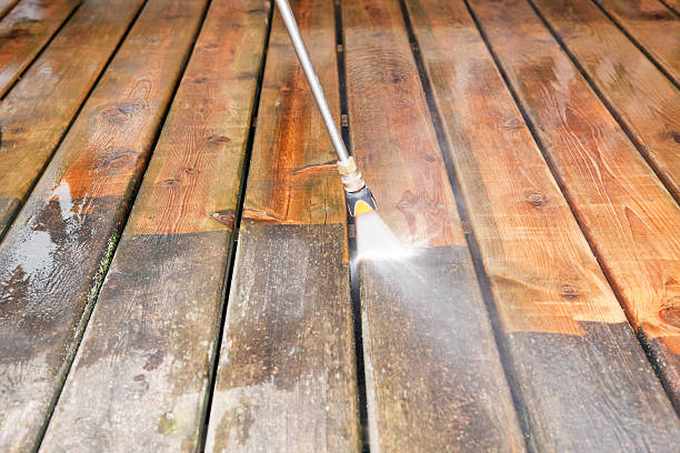 Best Dumpster Area Cleaning  in Shenandoah Farms, VA